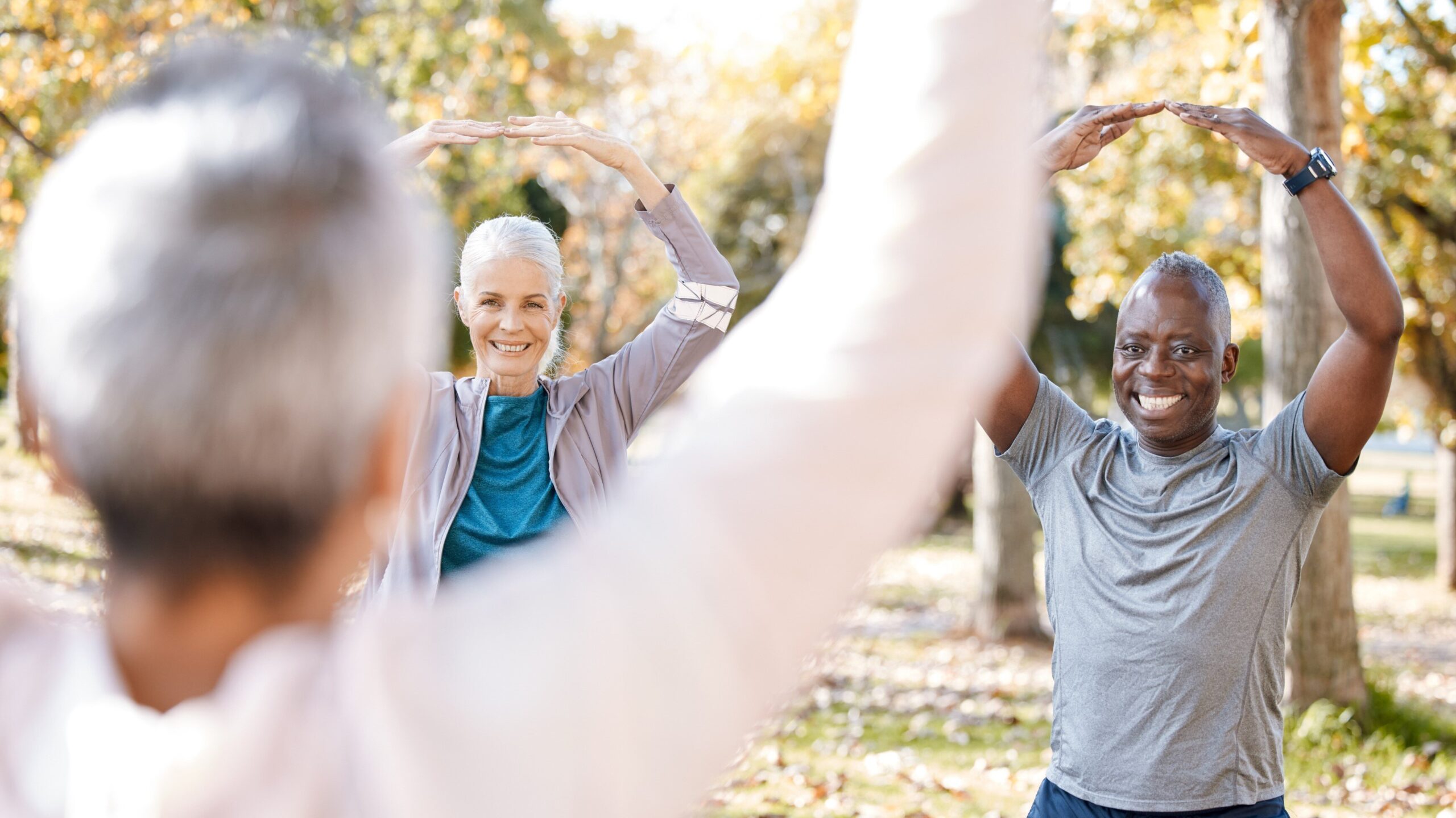 Three elderly individuals perform a stretching exercise outdoors, raising their arms above their heads in a park setting.