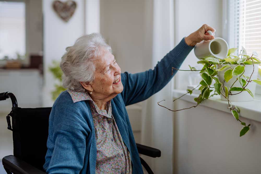 An elderly woman in a wheelchair waters a plant on a windowsill with a small watering can, nurturing life and embracing the simple joys that come with giving opportunities for growth.