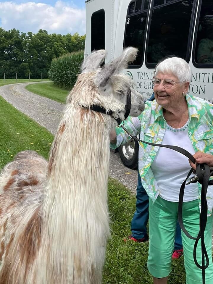 An elderly woman with short white hair pets a llama standing near a transport van on a grassy path. She smiles while holding the llama's leash, showcasing the unique activities fostered by careers at United Church Homes.