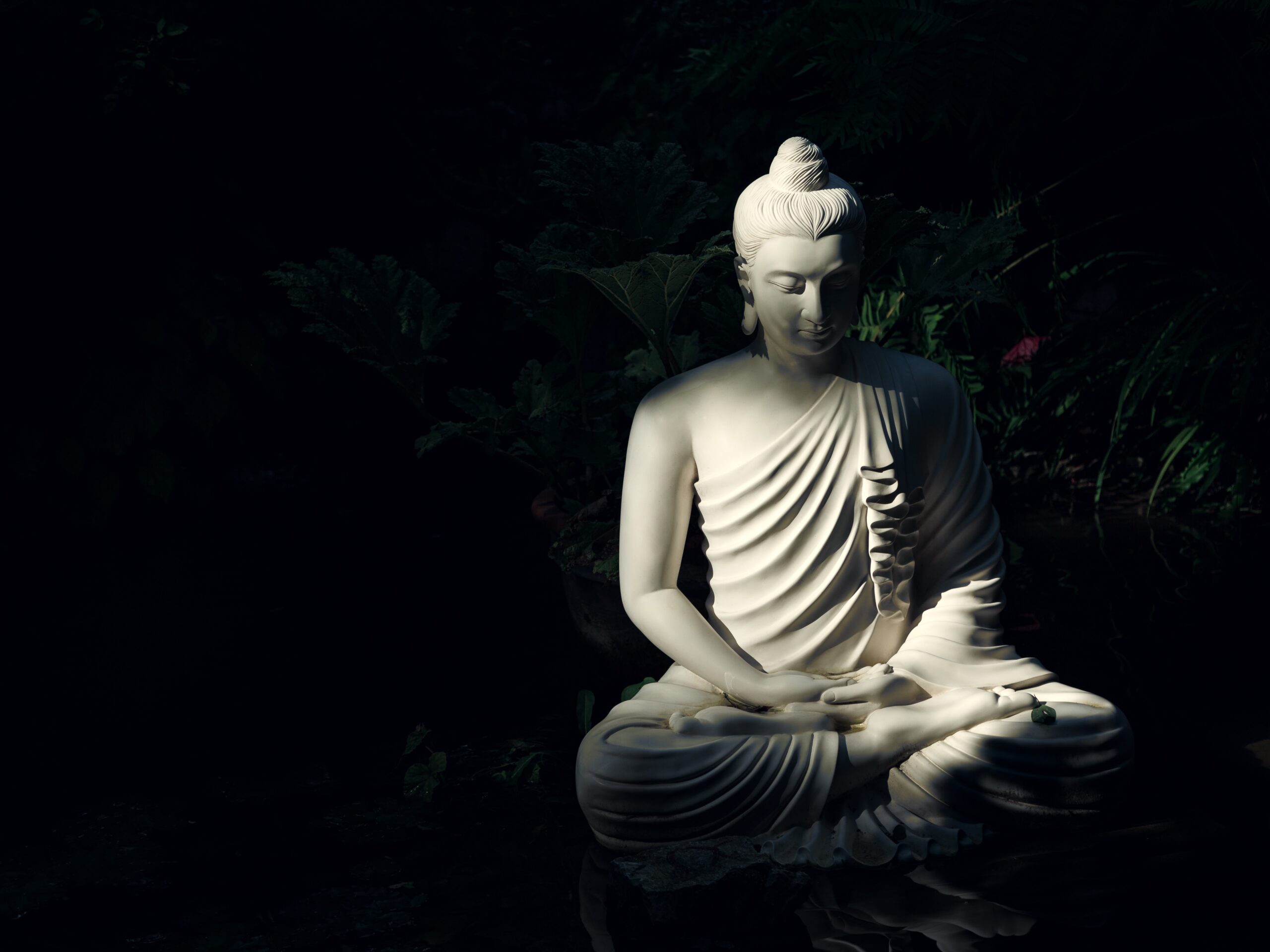 A white statue of a seated Buddha in a meditative pose, surrounded by darkness with some greenery visible in the background.