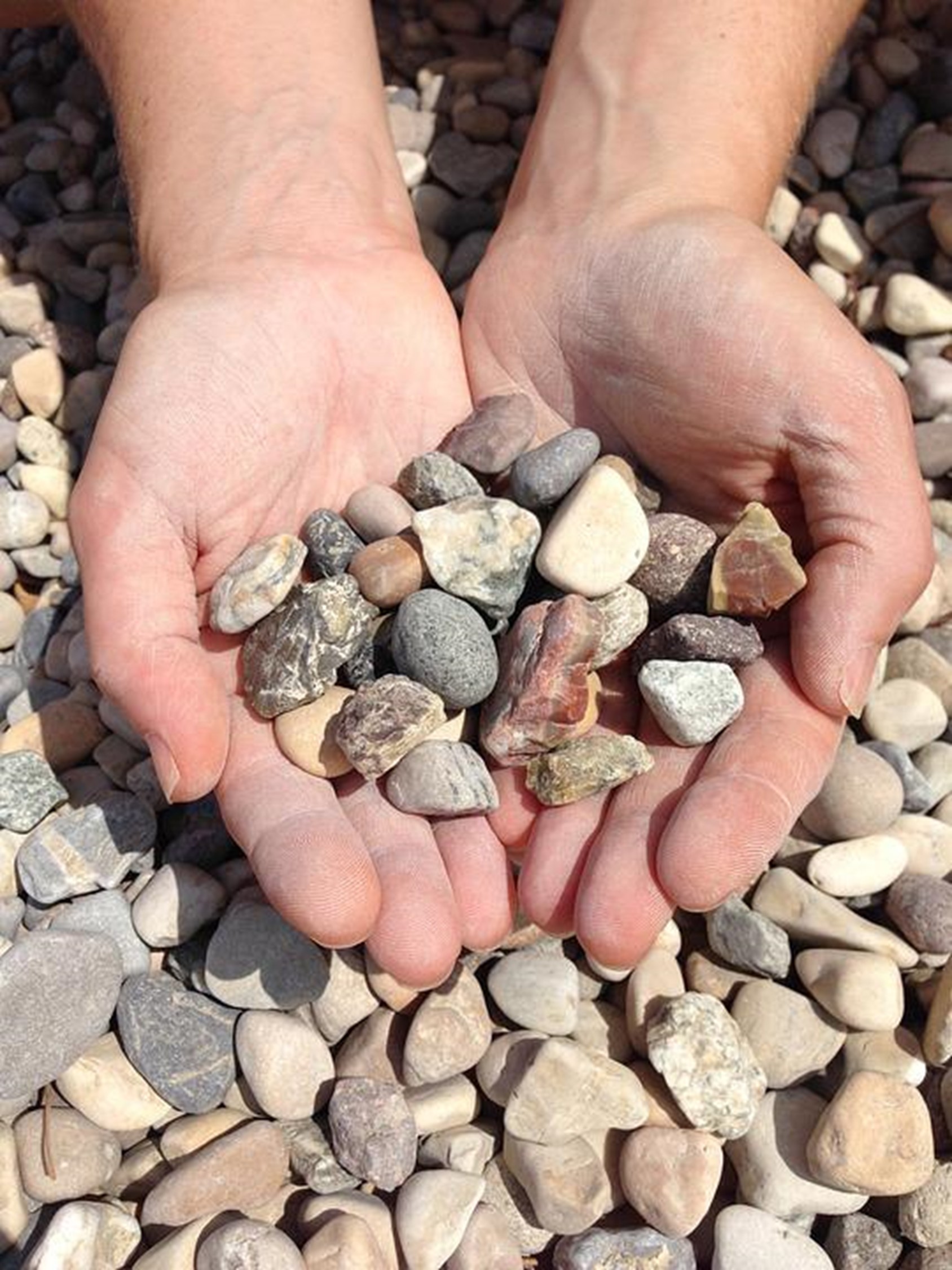 Two hands are cupped together, holding an assortment of small, variously colored and shaped rocks over a background of similar loose stones.