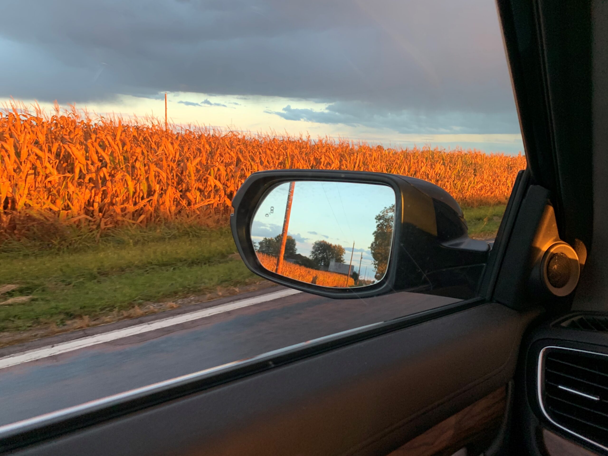 Car side mirror reflecting a cornfield during sunset, with sunlight casting an orange glow on the corn stalks. View from the driver's side window.