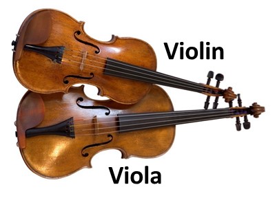 A violin and a viola are displayed side by side with labels indicating each instrument. The violin is smaller and positioned above the slightly larger viola.